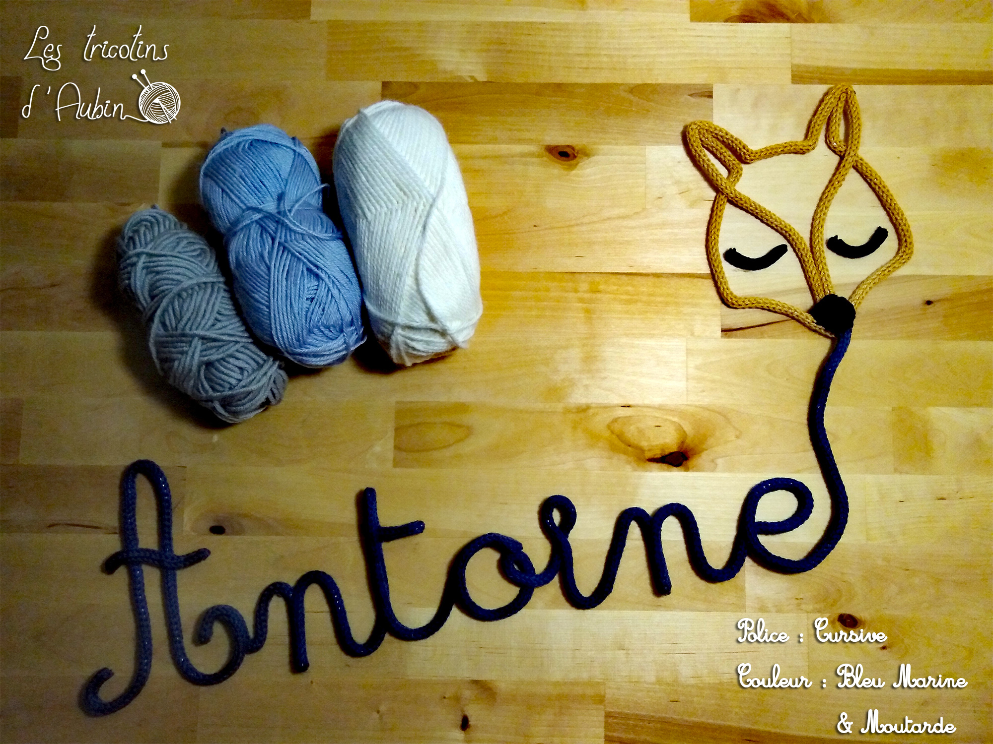 Antoine tricotin renard