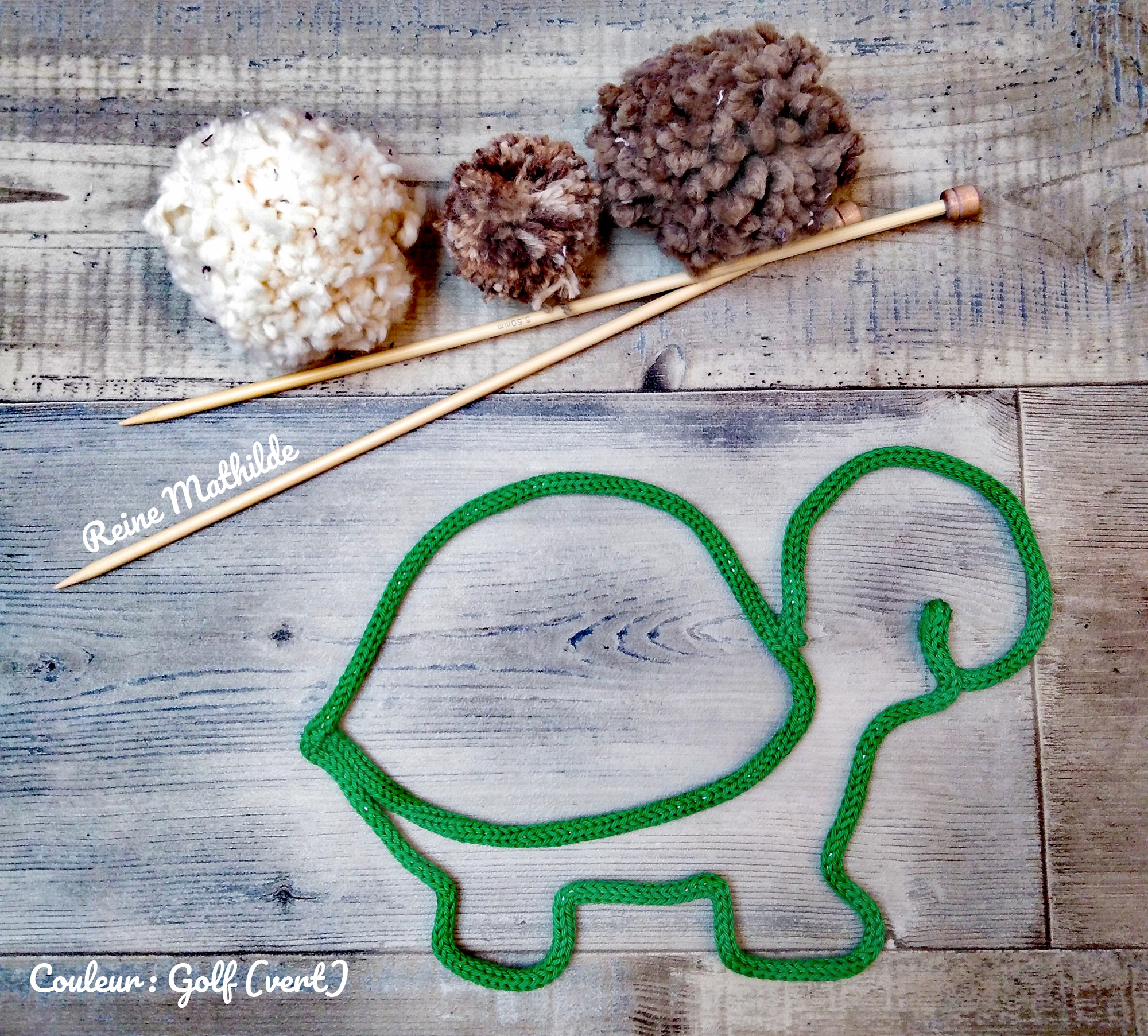 Tortue en tricotin